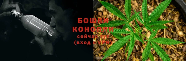 трава Богородицк