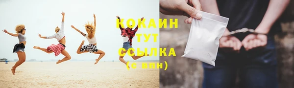 трава Богородицк