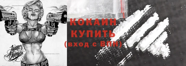 крисы Богородск